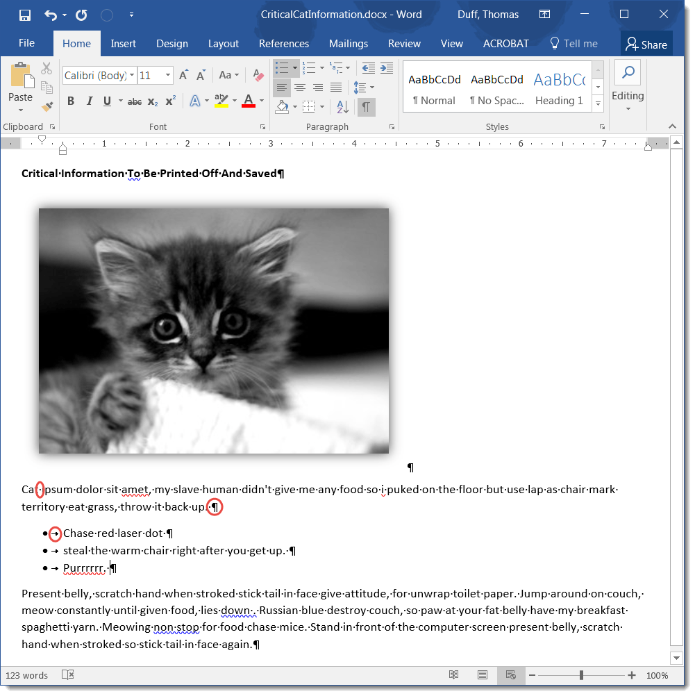 Displaying Formatting Marks in Word – One Minute Office Magic