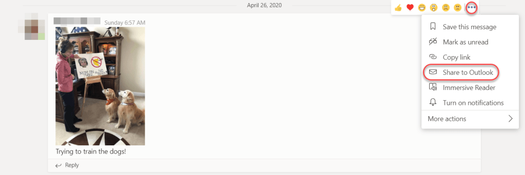 Machine generated alternative text:
April 26, 2020 
Trying to train the dogs! 
Reply 
Save this message 
Mark as unread 
Copy link 
Share to Outlook 
Immersive Reader 
Turn on notifications 
More actions 
